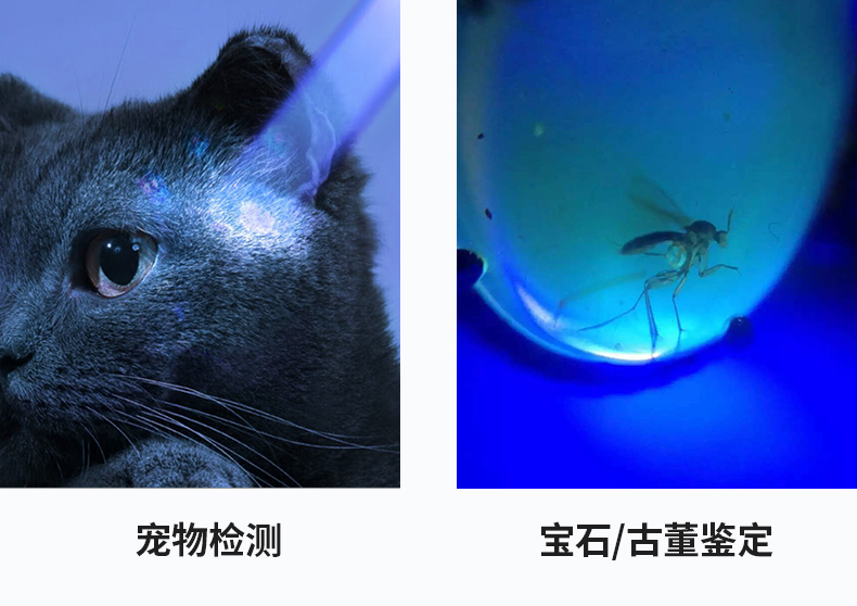 1729826730745726.jpg 手電筒廠家